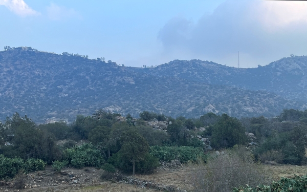 塔伊夫 Al-Shafa 山。(沙特百科)