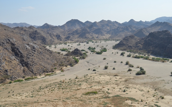 Yadamah 县的 Wadi Makhdoub。 (沙特阿拉伯)