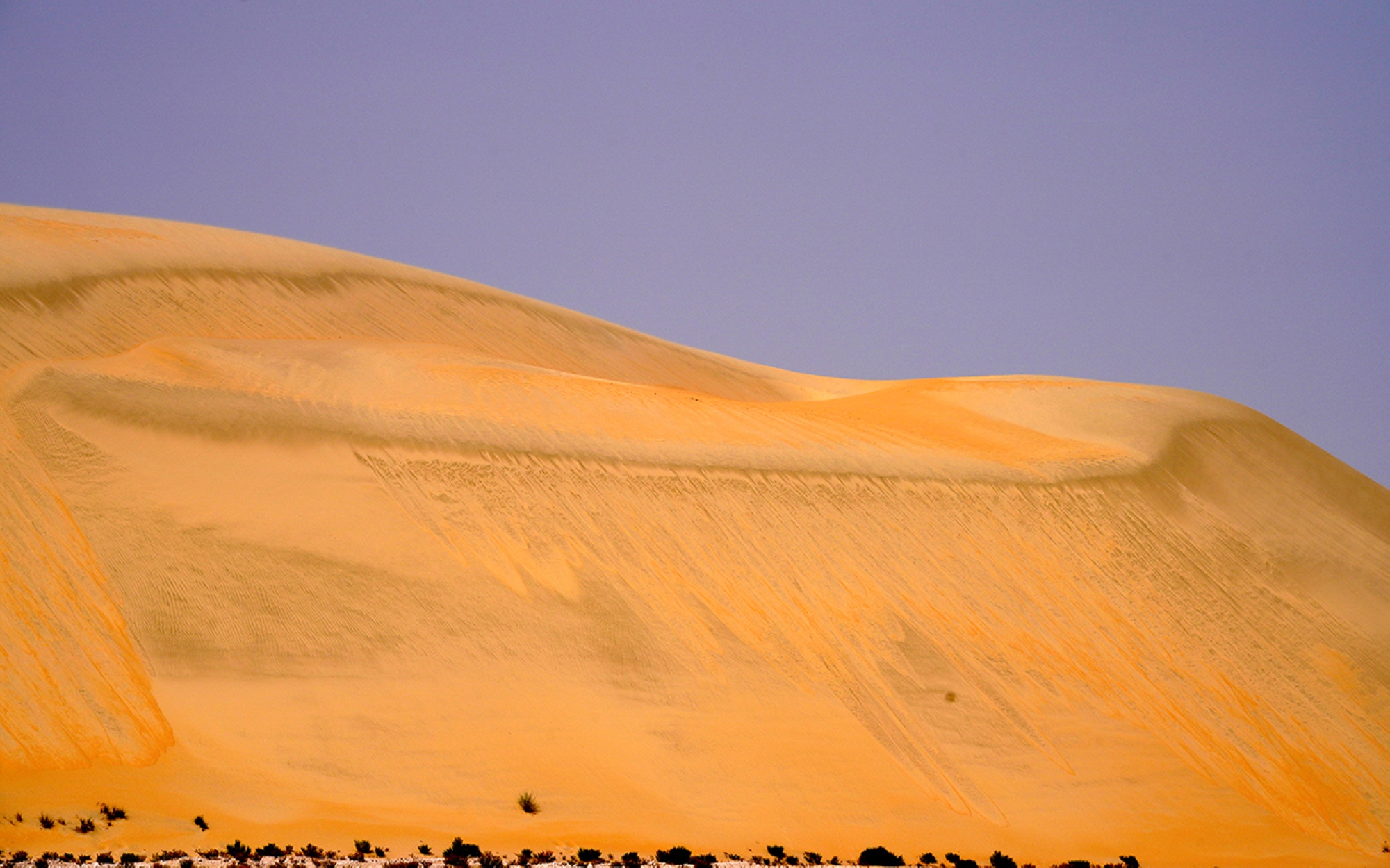 Sandy flats in the Empty Quarter in the Kingdom (Saudipedia)