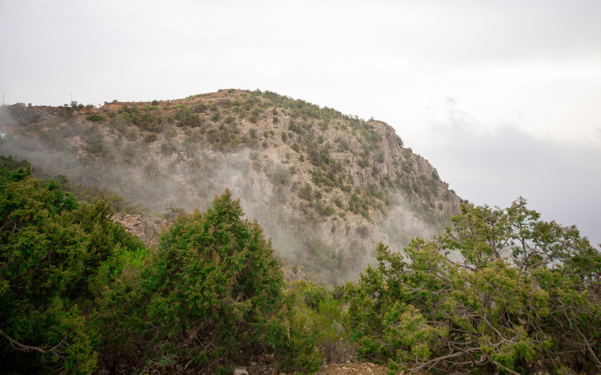 Jabal Sawda. (Saudipedia)