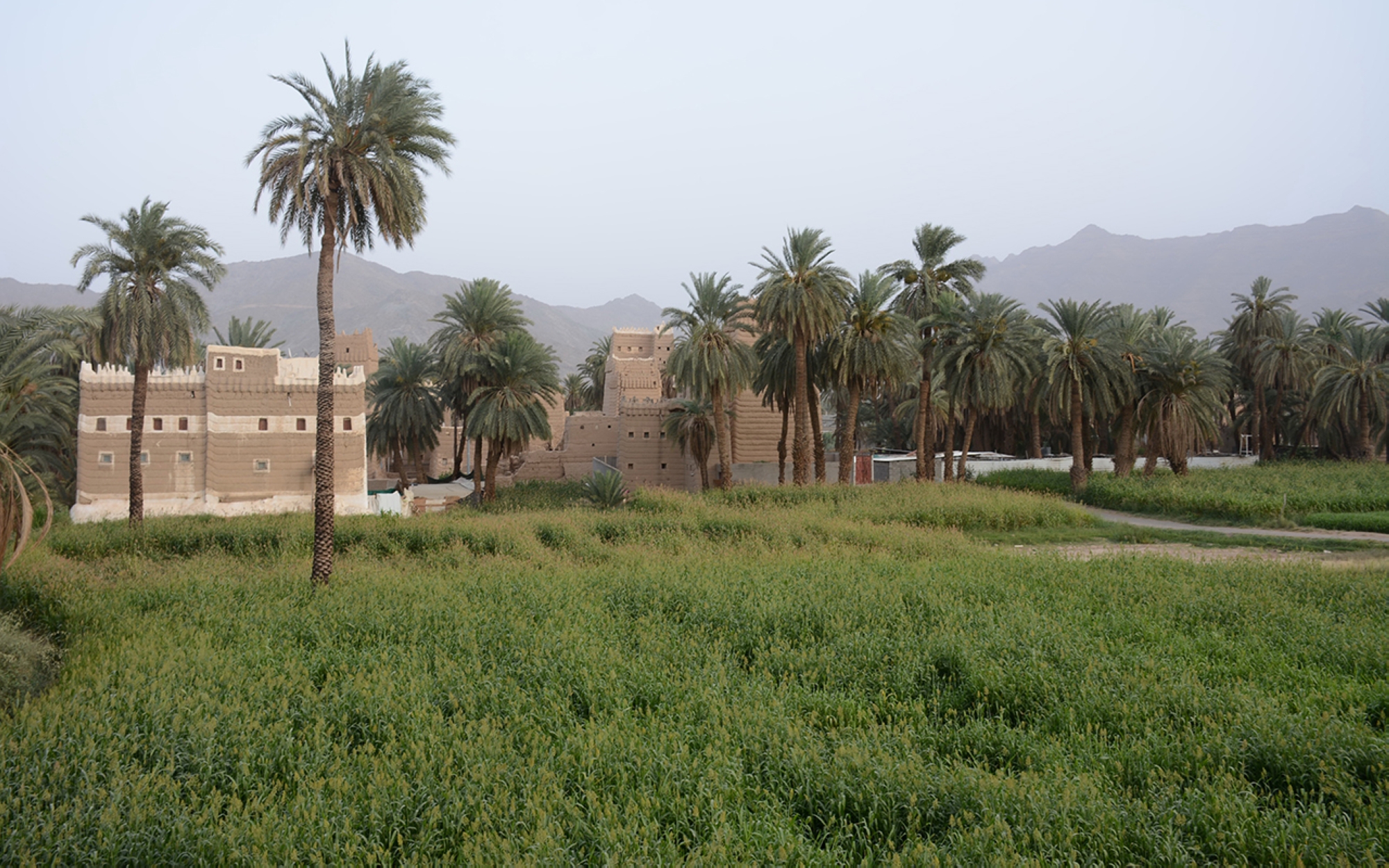 Heritage-style mud houses in Najran City. (Saudipedia)