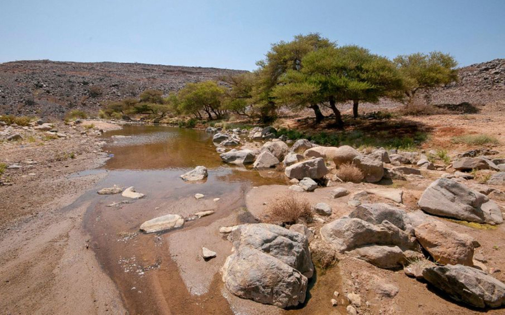 Image of streams in a valley in Badr al-Janub Governorate. (SPA)