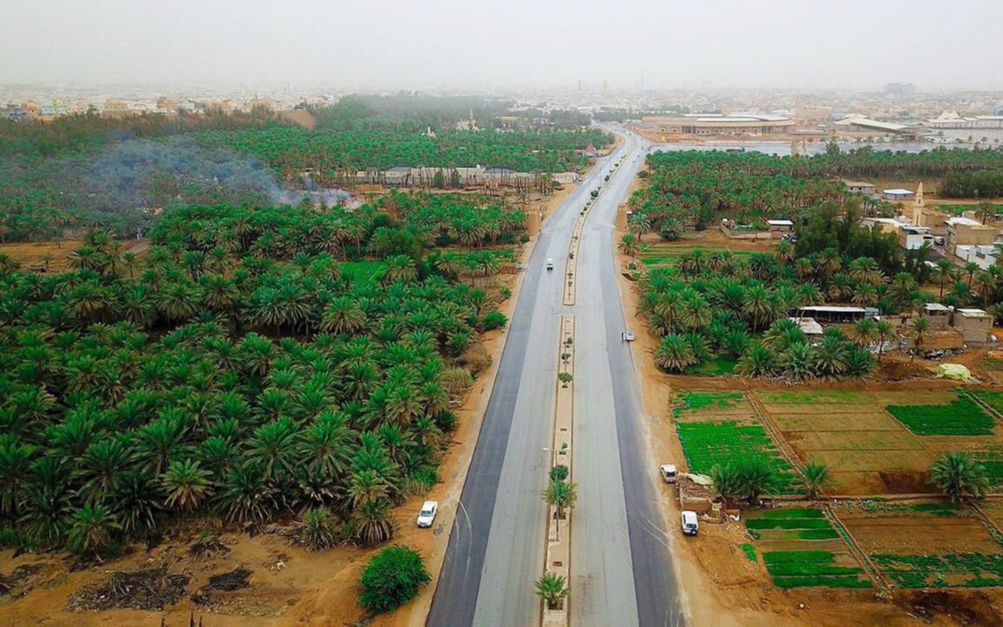 Aerial view of the farms in Qassim. (SPA)