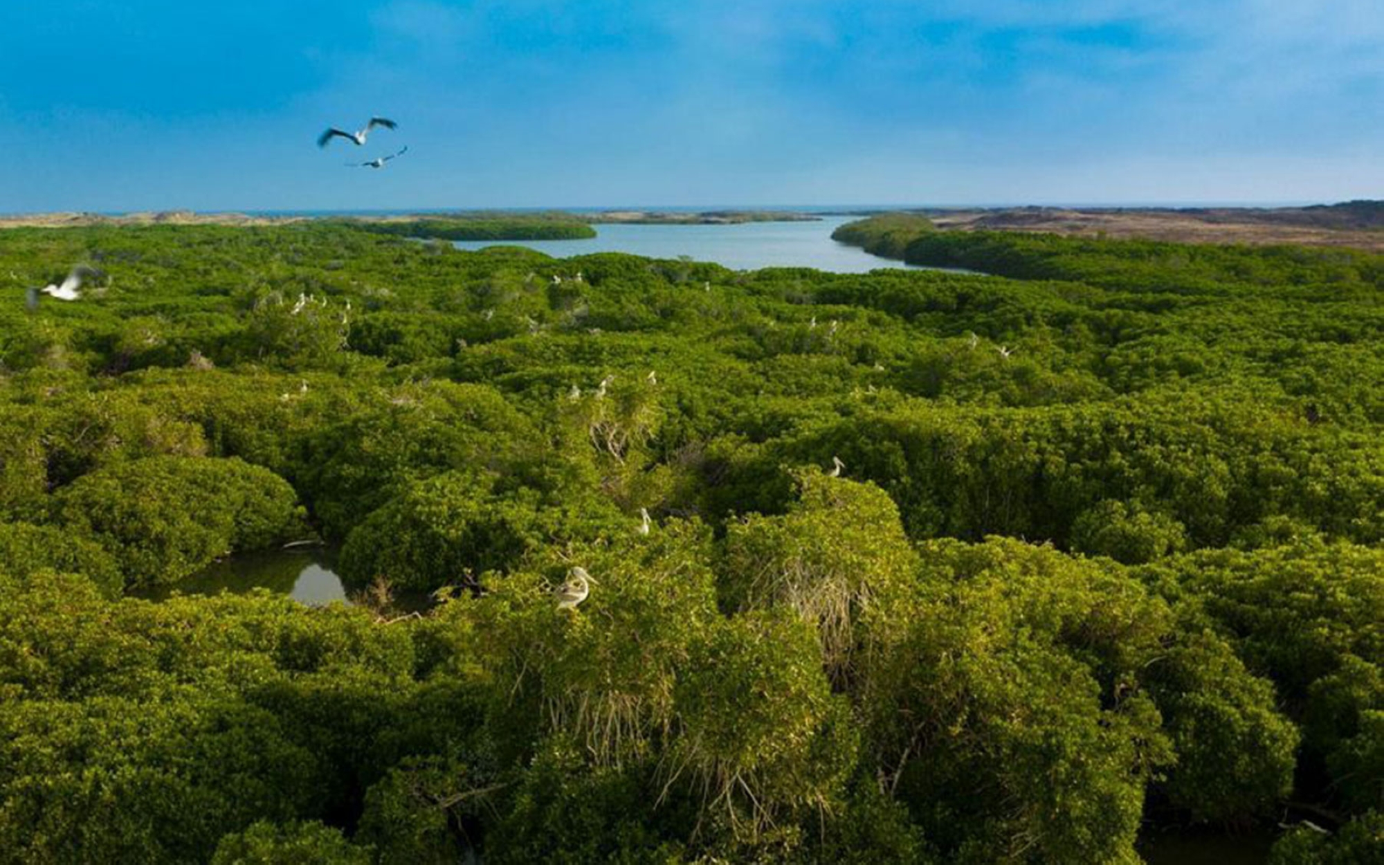 Farasan Islands Marine Sanctuary. (SPA)