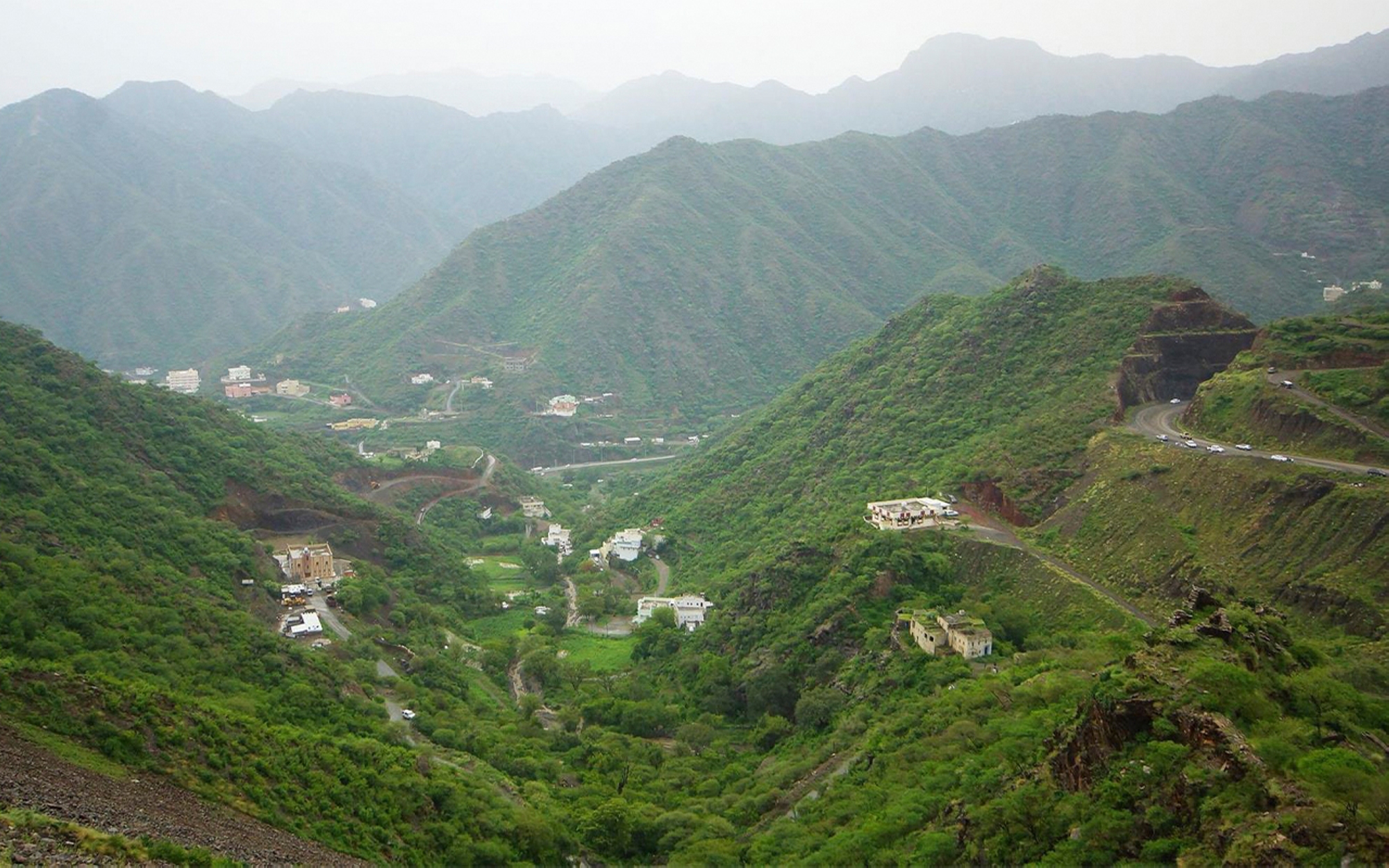 Jabal as-Sudah is the highest peak in the Sarawat Mountains in Aseer Province. (SPA)