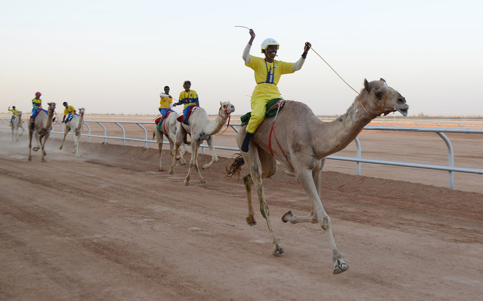 A group of contestants at the Crown Prince Camel Festival in Taif. (Saudipedia)