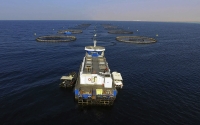 Marine vehicle in a fish farming project. (SPA)