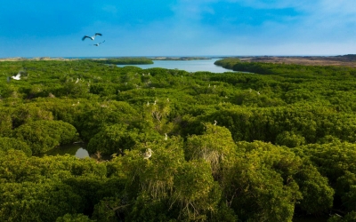 Nature&#039;s beauty in Farasan Island in Jazan Province.