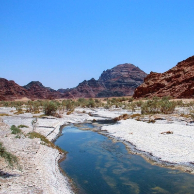 Al-Hamd Valley, north of al-Madinah al-Munawwarah, is about four hundred km long. (Saudi Geological Survey)