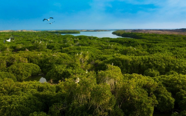 Nature's beauty in Farasan Island in Jazan Province.