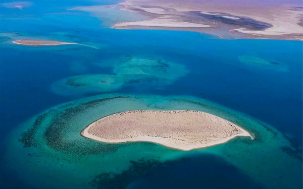 Aerial picture of Jabal Hassan Island in Tabuk (SPA)