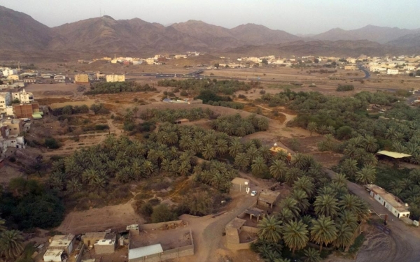 Palm groves at the Badr Battle site in al-Madinah al-Munawarah. (SPA)