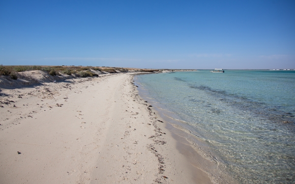 One of Umluj&#039;s beaches known for its stunning white sand. (Saudipedia)