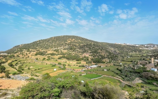 Green areas in al-Namas Governorate. (SPA)