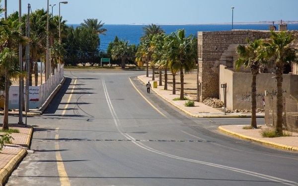 Palms and archaeological houses in one of the streets of Al-Wajh Governorate on the Red Sea coast. (Saudipedia)