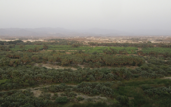 Al-Fatiha Valley in Baish Governorate in Jazan Province. (Saudipedia)