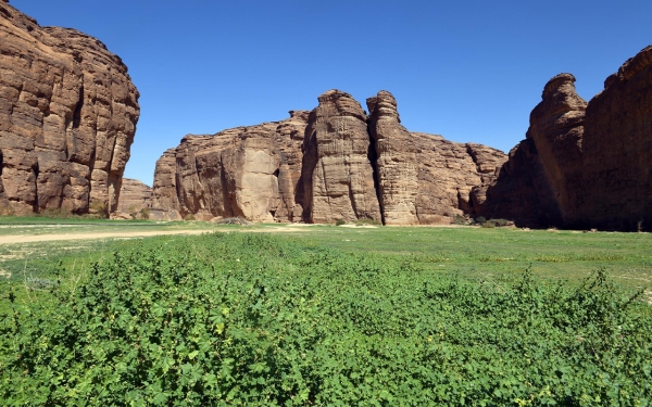 Valley area in Sharaan Reserve in al-Ula. (SPA)