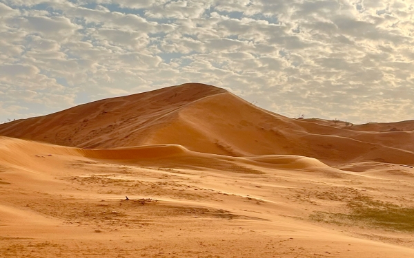 Al-Nafud al-Kabir Desert, the second-largest sand accumulation in the Kingdom. (Saudipedia)