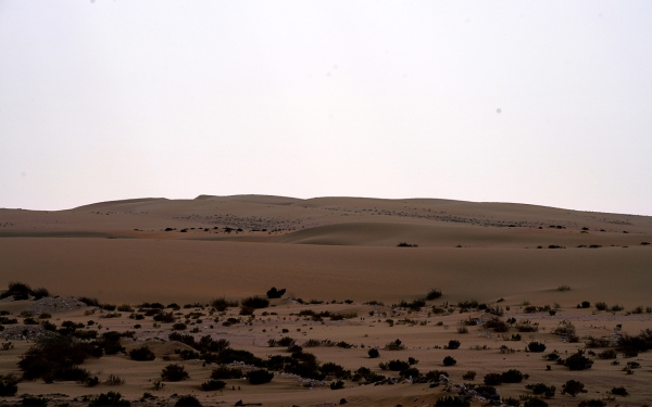 The Empty Quarter Desert in the southeast of the Kingdom. (Saudipedia)