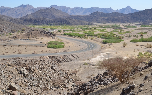 Wadi Najran, one of the largest valleys in the Kingdom, passes through the province, dividing it into two sections: northern and southern. (Saudipedia)