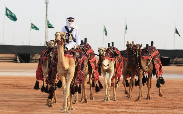 A picture of one of the events of the King Abdulaziz Camel Festival. (SPA)