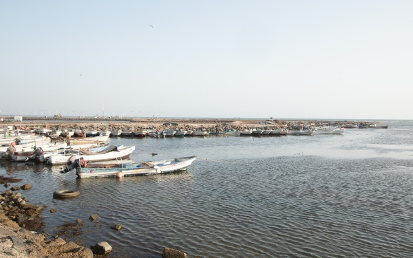 Al-Hasahees beach in al-Suhy center in Samtah governorate, southwest of the Kingdom. (Saudipedia)