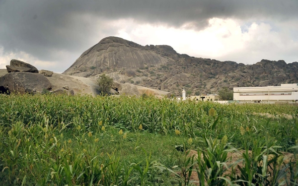 Jabal Shada al-A&rsquo;la, the highest peak in the Tihama plain, soaring 2,200 m above sea level (SPA)