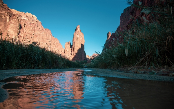 Wadi al-Disah, one of the tourist sites in Duba Governorate. (Saudipedia)