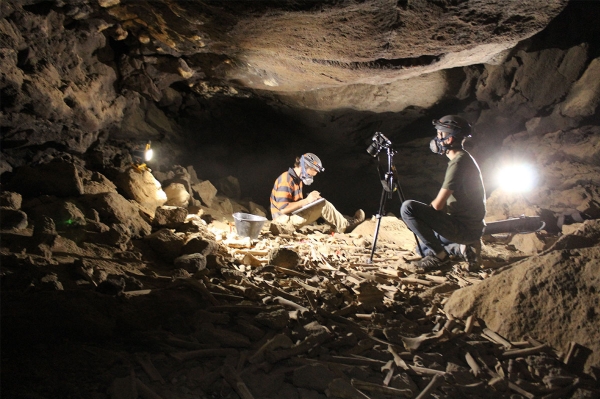 Excavation works inside Umm Jirsan Cave in Harrat Khaybar, north of al-Madinah al-Munawwarah. (SPA)