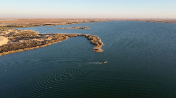 Aerial view of al-Asfar lake, al-Ahsa governorate. (Saudipedia)