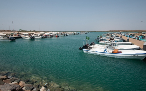 Fishing boats in the port of Farasan in Jazan Province. (Saudipedia)