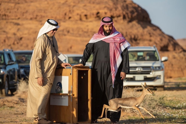 Crown Prince launching Sharaan Nature Reserve in al-Ula Governorate. (SPA)