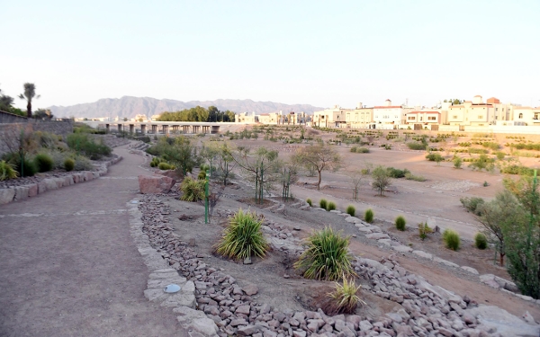 Wadi al-&#039;Aqiq in al-Madinah al-Munawwarah. (SPA)