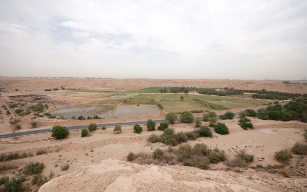 A top view of Wadi Laban Dam Park. (Saudibepia)