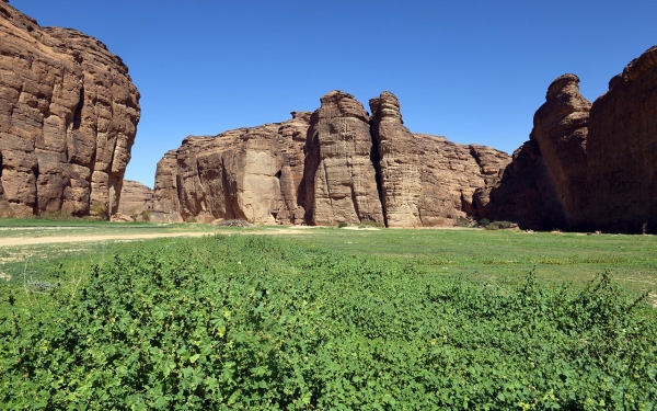 Green plains and mountains in Sharaan Nature Reserve in al-Ula Governorate. (SPA)