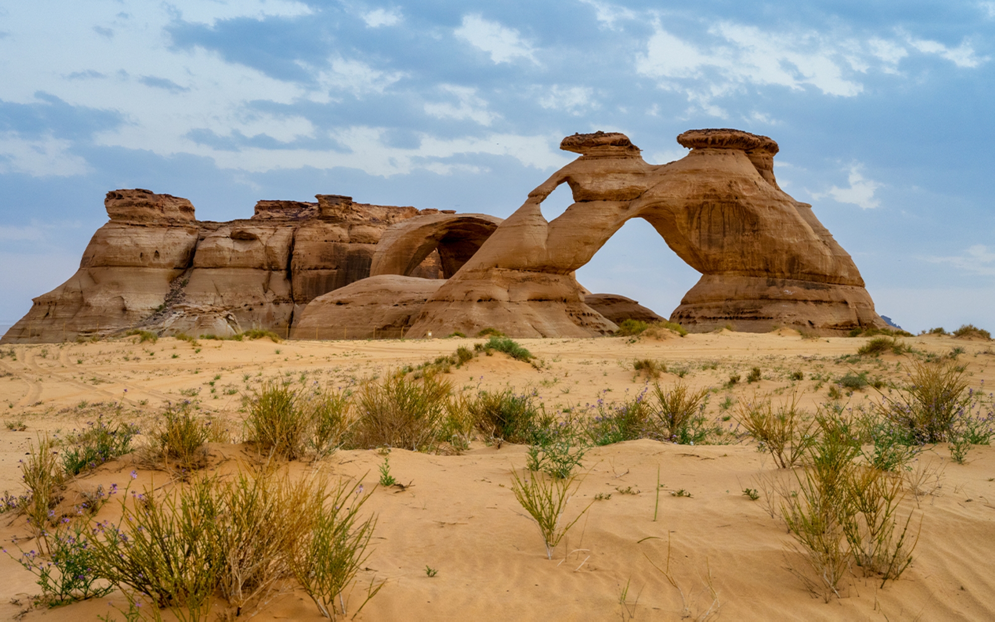 Rock arts on the mountains of the Hail Province. (Ministry of Culture)