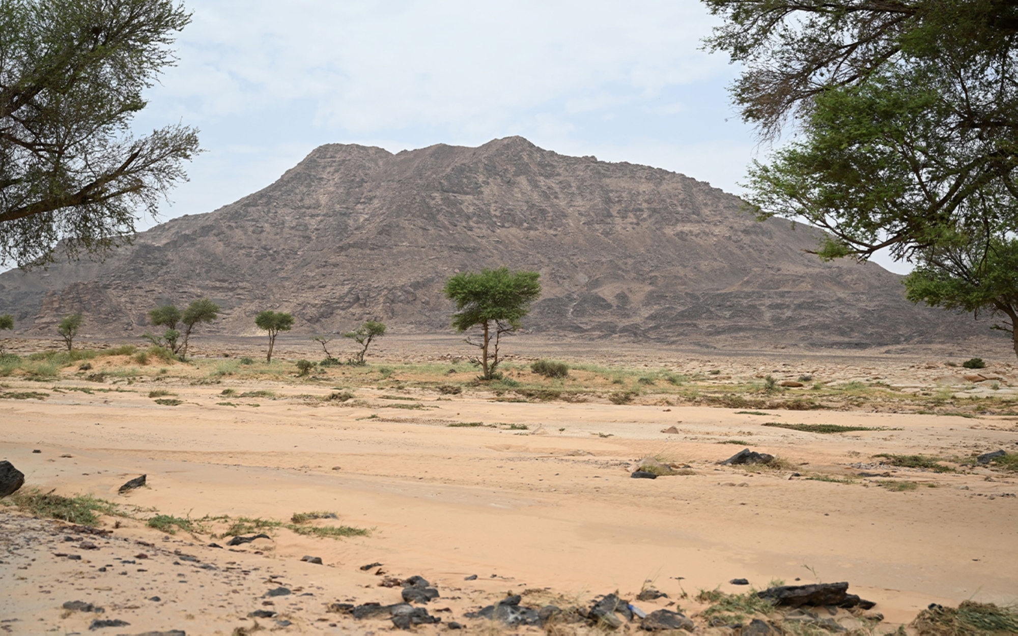 Jabal Jildiyyah in the east of Hail Province. (SPA)