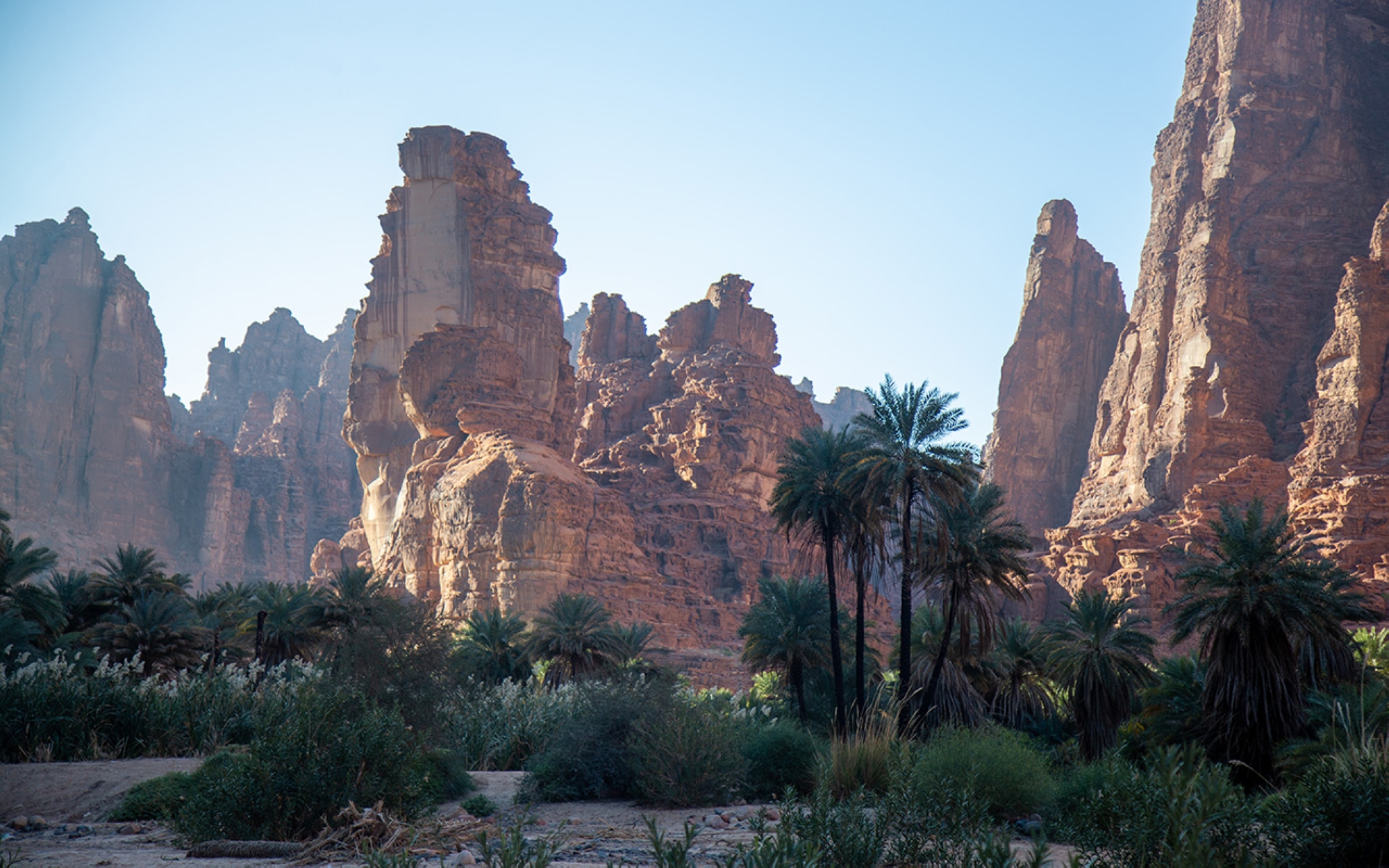 Wadi ad-Disah in Tabuk Province. (Saudipedia)