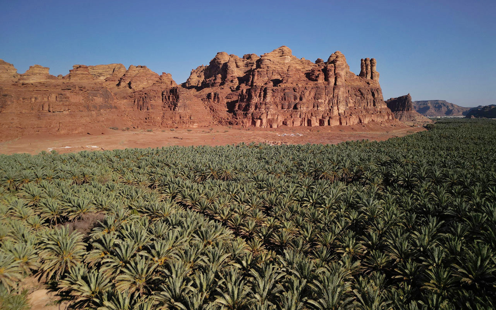 Green oases in al-Ula Governorate. (Saudipedia)