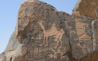 Some of the archaeological inscriptions found on the mountains of the Hail Province. (SPA)