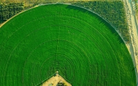 A farm in the Kingdom where mobile irrigation equipment are used. (SPA)