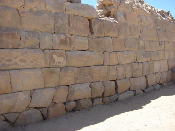 View of animal petroglyphs in al-Okhdood archaeological site in Najran Province. (Saudipedia)