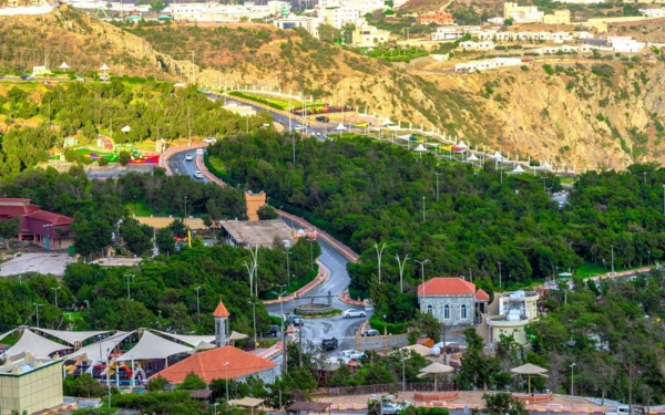 Raghadan forest in al-Baha Province. (SPA)