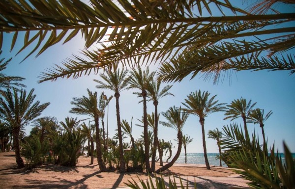 One of the beaches of Ummlujj Governorate in Tabuk Province. (Saudipedia)