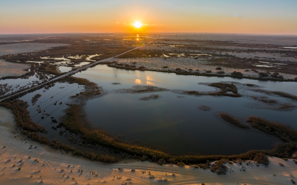 Clusters of springs in al-Ahsa, in the Eastern Province. (SPA)