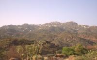 Houses over Fayfa Mountains, covered by the dense vegetation (Saudipedia)