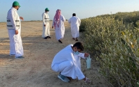 Efforts to preserve endangered plants in the Kingdom. (National Center for Vegetation Cover Development and Combating Desertification)