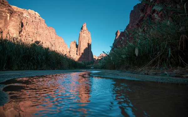 Wadi Al-Disah in Tabuk region is characterized by abundant water and trees. (Saudi Arabia)