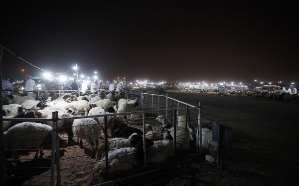 Sheep market in Riyadh City. (Saudipedia)