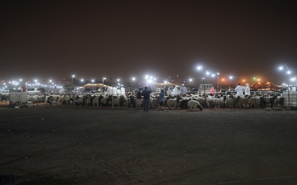 Sheep market in Riyadh City. (Saudipedia)